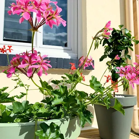 Apartament Eco-appart'hotel - Jdp