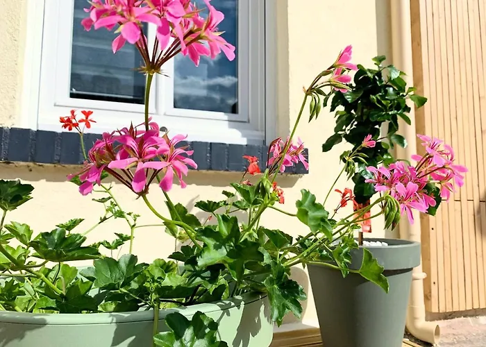 شقة Eco-appart'hotel - Jdp